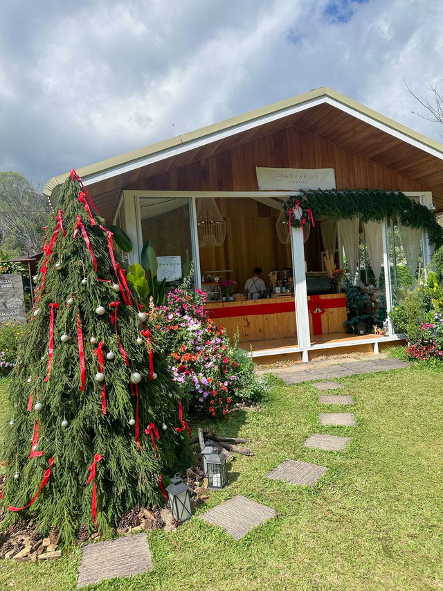 22 AQUARIUS Glamping Cafe