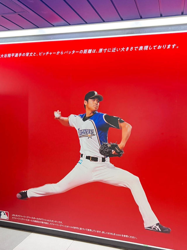北海道景點分享 小樽遊 北廣島火腿球場