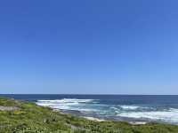 The wildest part of rottnest coast island