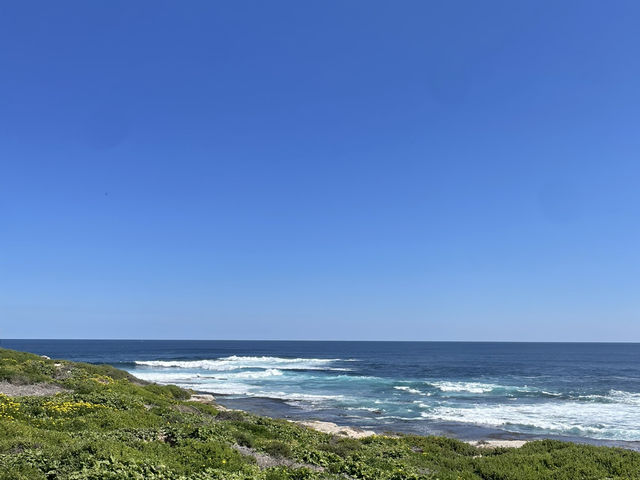 The wildest part of rottnest coast island