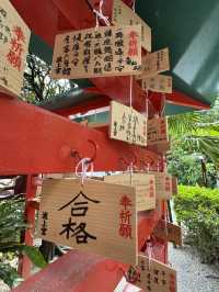 日本神社|龍口吐泉的淨水亭——以清泉洗手漱心,在水聲裡跨越凡俗與神域的界限
