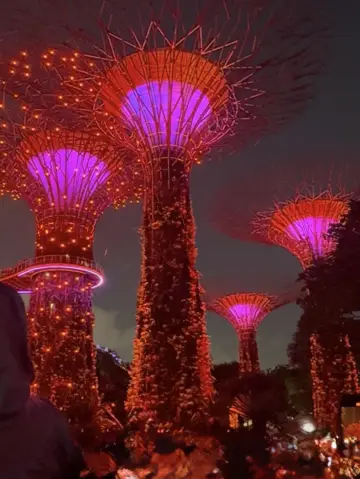 濱海灣花園 (新加坡, Gardens by the Bay)