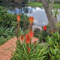 Hamilton Gardens