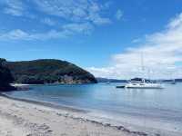 New Zealand Adventures : From Islands to Iconic Shores