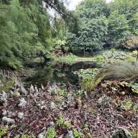 Ayrlies Garden and Wetlands