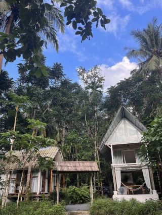 Heal your soul completely at Kongra Forest 🌳