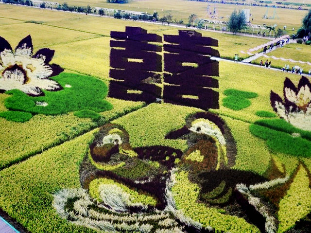 瀋陽稻夢空間🇨🇳