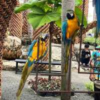 🌿 Chonburi Nong Nooch Tropical Botanical Garden — Guide
