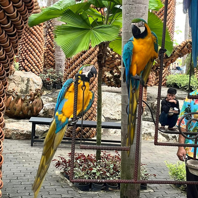 🌿 Chonburi Nong Nooch Tropical Botanical Garden — Guide 🌿 Chonburi Nong Nooch Tropical Botanical Garden — Guide
