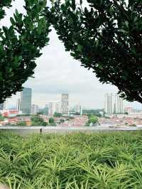 “Rooftop Garden at Starling Mall: Hidden Green Oasis with Stunning Skyline Views” 