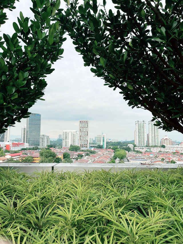 “Rooftop Garden at Starling Mall: Hidden Green Oasis with Stunning Skyline Views” 