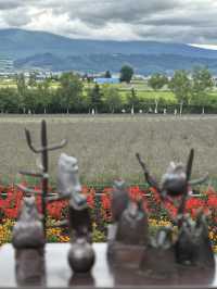 ✨กิจกรรมหน้าร้อนใน Hokkaido✨