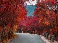 Valley Dreamscape🍂  