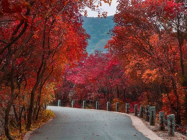 Valley Dreamscape🍂  