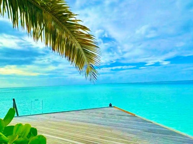 Constance Moofushi — The Art of All-Inclusive Perfection