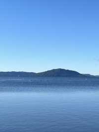🇳🇿🦢 Rotorua's Swan Lake: Where Emerald Waters Meet Sapphire Skies! 🌊