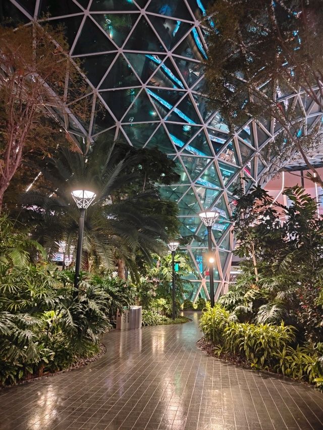 A Forest Between Flights: My Walk Through the Orchard at Hamad Airport
