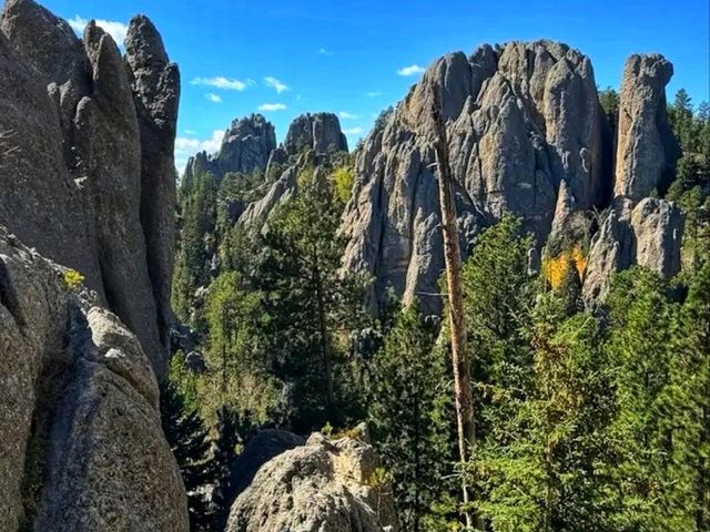 🏞️ Custer State Park – The Wild Heart of South Dakota 🏞️ Custer State Park – The Wild Heart of South Dakota
