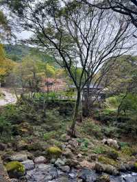 감탄했던 용문산 계곡 그리고 용문사🍁