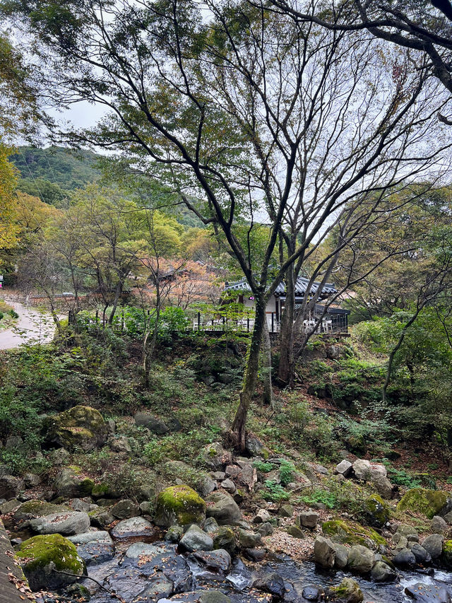 감탄했던 용문산 계곡 그리고 용문사🍁
