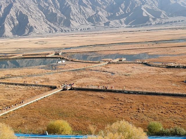 A Bird's-Eye View of the Golden Grassland: A Golden Scroll on the Pamir Plateau