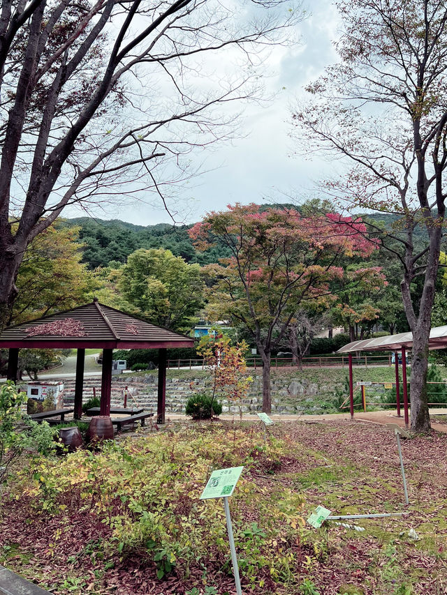 용문산 공원의 풍경
