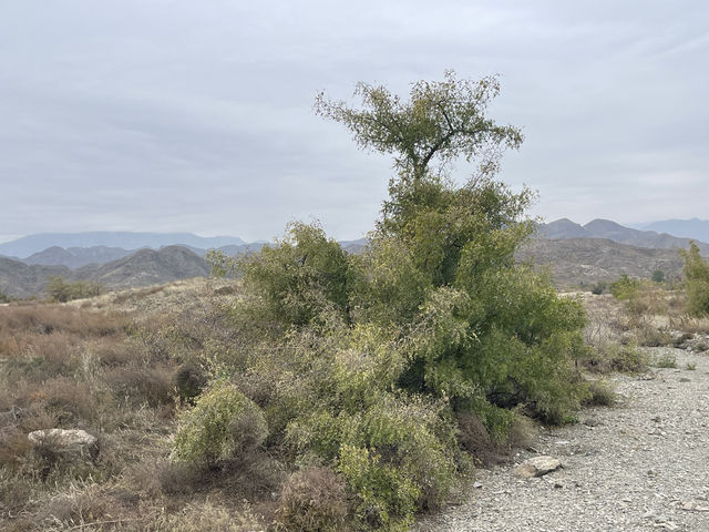 古跡遺址漫步賞自然