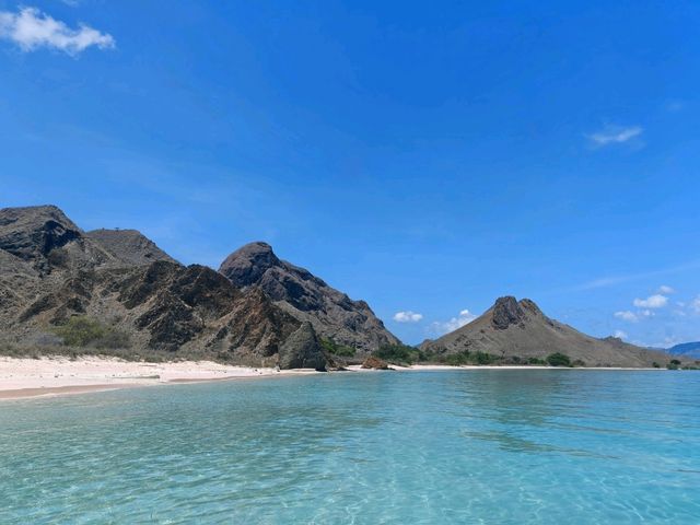Komodo Wonders🌿 One Day Trip