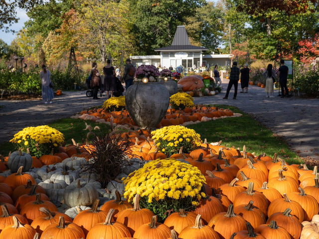 🎃 南瓜屋與游隼之家