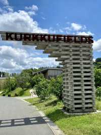 Art, Nature, and Wild Encounters at KURKKUFIELDS