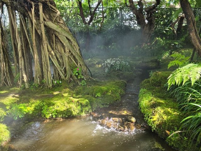 คาเฟ่เขียวขจีในเมืองเชียงใหม่ คาเฟ่เขียวขจีในเมืองเชียงใหม่