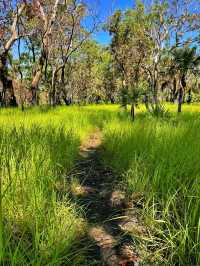 🌿💦 Litchfield National Park – Australia’s Tropical Wonderland