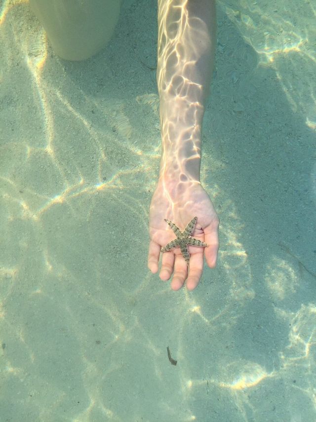 Doljo Beach - Starfish everywhere!