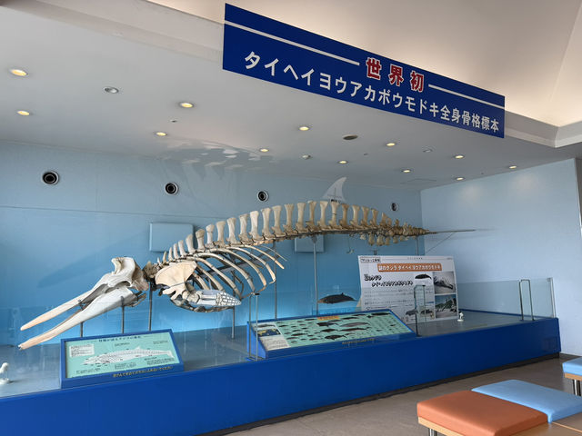 桜島も見える！ロケーション最高の水族館