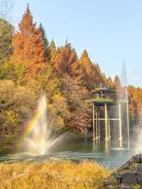 충청도 가을여행지 청주 미동산수목원 실시간✨