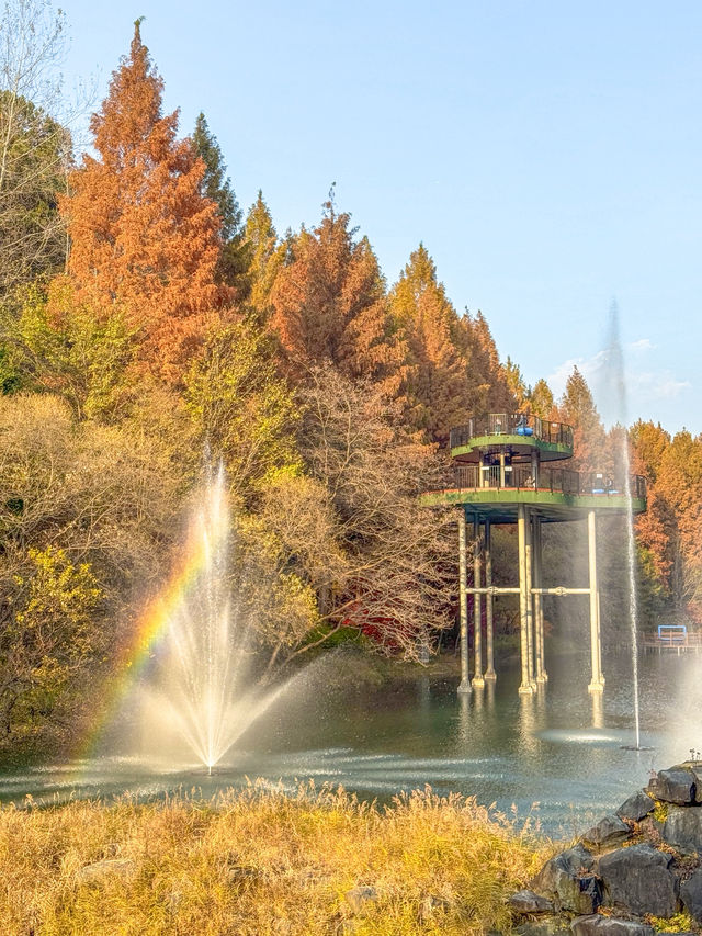 충청도 가을여행지 청주 미동산수목원 실시간✨ 충청도 가을여행지 청주 미동산수목원 실시간✨