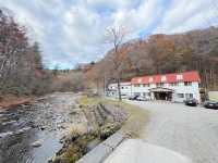 冬季限定 白金青池 芽登溫泉