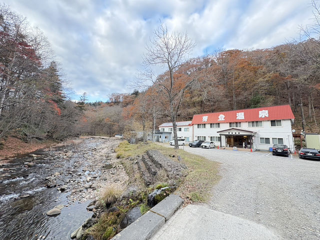 冬季限定 白金青池 芽登溫泉
