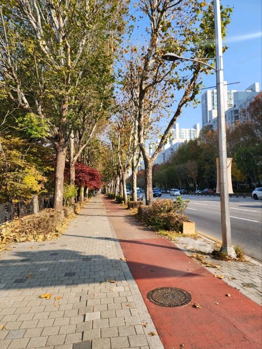 ⭐서울 올림픽공원 하루 코스 – 거대한 엄지상 구경하고, 가을 댑싸리 걷고, 청와옥에서 마무리!