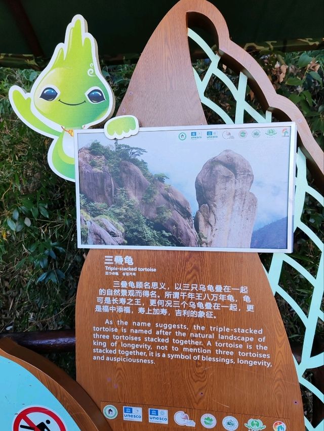 The Triple-Stacked Tortoise