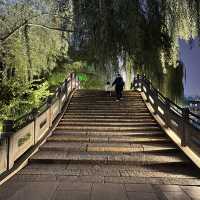 **🌙 Daming Lake Night Walk — The Most Romantic Way to End a Jinan Day 💕**