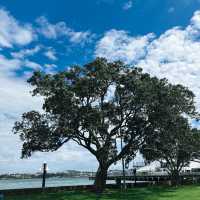 ไปเที่ยวสวนสาธารณะริมทะเล Windsor Reserve กันนนน