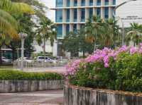 A Hidden Oasis in the Heart of Putrajaya: Exploring Bougainvilla Trails