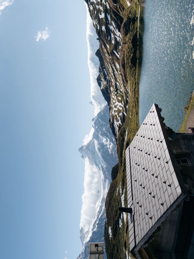 MAJESTIC MATTERHORN MAGIC 🏔️✨