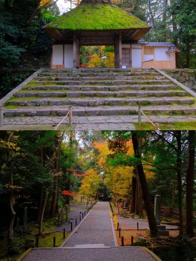 京都法然院紅葉季靜謐之旅🍁