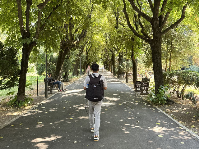 🌿🌸 CISMIGIU GARDEN – BUCHAREST’S MOST PEACEFUL GREEN ESCAPE 