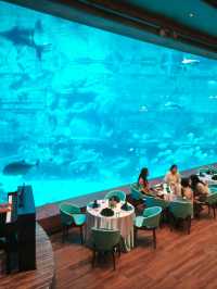 富國島珍珠樂園