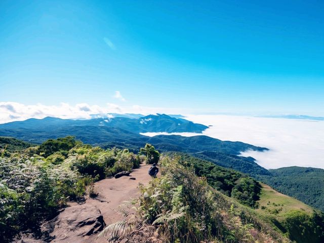 ดอยอินทนนท์—ฟินทะเลหมอกบนจุดสูงสุดของสยาม 🌤 ดอยอินทนนท์—ฟินทะเลหมอกบนจุดสูงสุดของสยาม 🌤