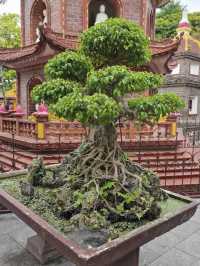 🕌 Tran Quoc Pagoda — Hanoi’s Timeless Lakeside Sanctuary
