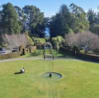 🇳🇿 奧塔哥半島必去打卡！紐西蘭唯一夢幻古堡Larnach Castle